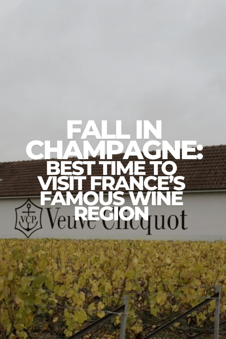 Fall in Champagne: Why It Is the Best Time to Visit