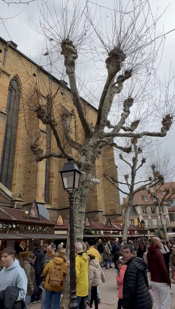 Christmas market stalls beside a church in Colmar, France