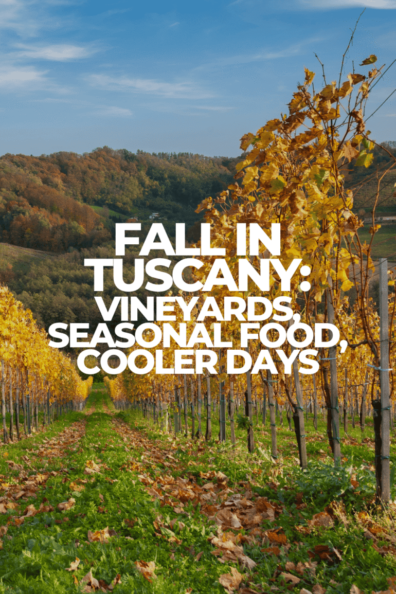 Autumn in Tuscany: Where the Season Comes Alive with Flavor