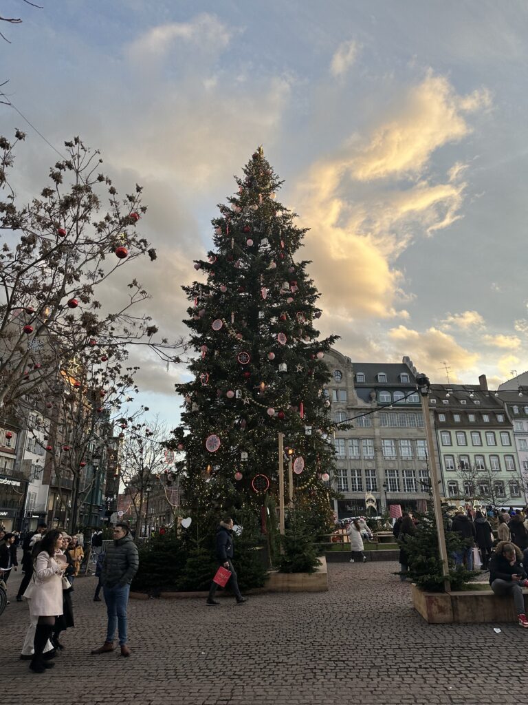Large decorated Christmas tree at Place Kléber in Strasbourg