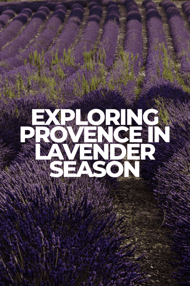 Provence in Lavender Season