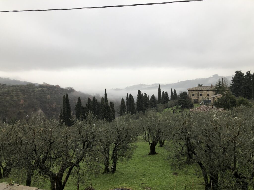 Olive groves and rolling hills viewed from Cortona in Tuscany