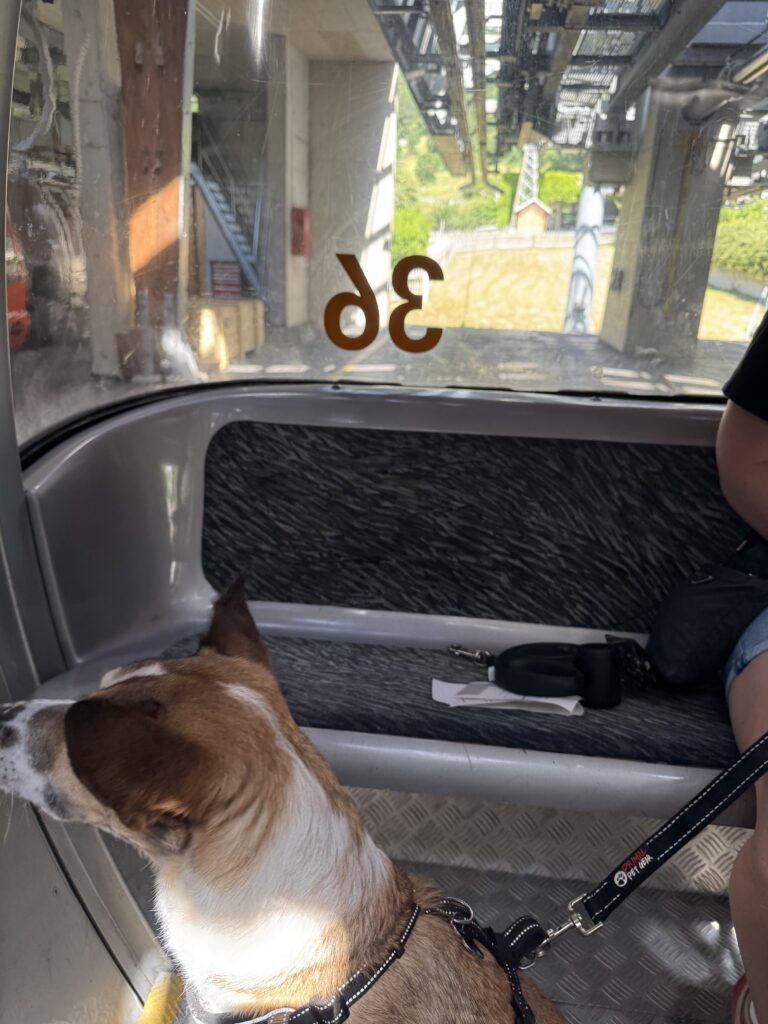 Riding the Schöckl cable car with Rex near Graz, Austria