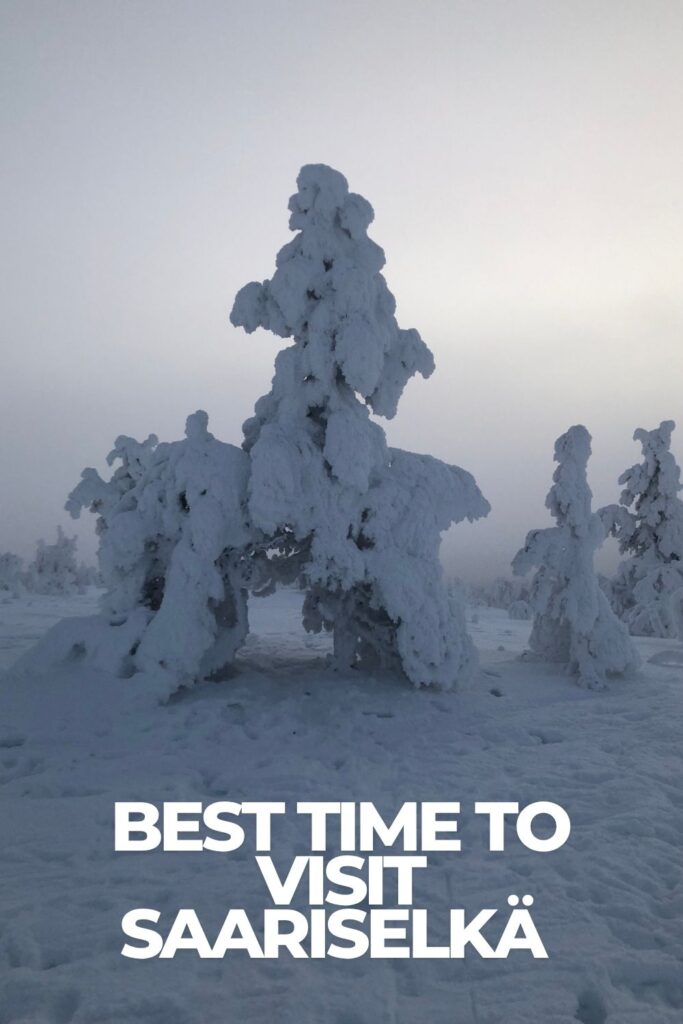 Snow-covered trees in Saariselkä during winter in Finnish Lapland