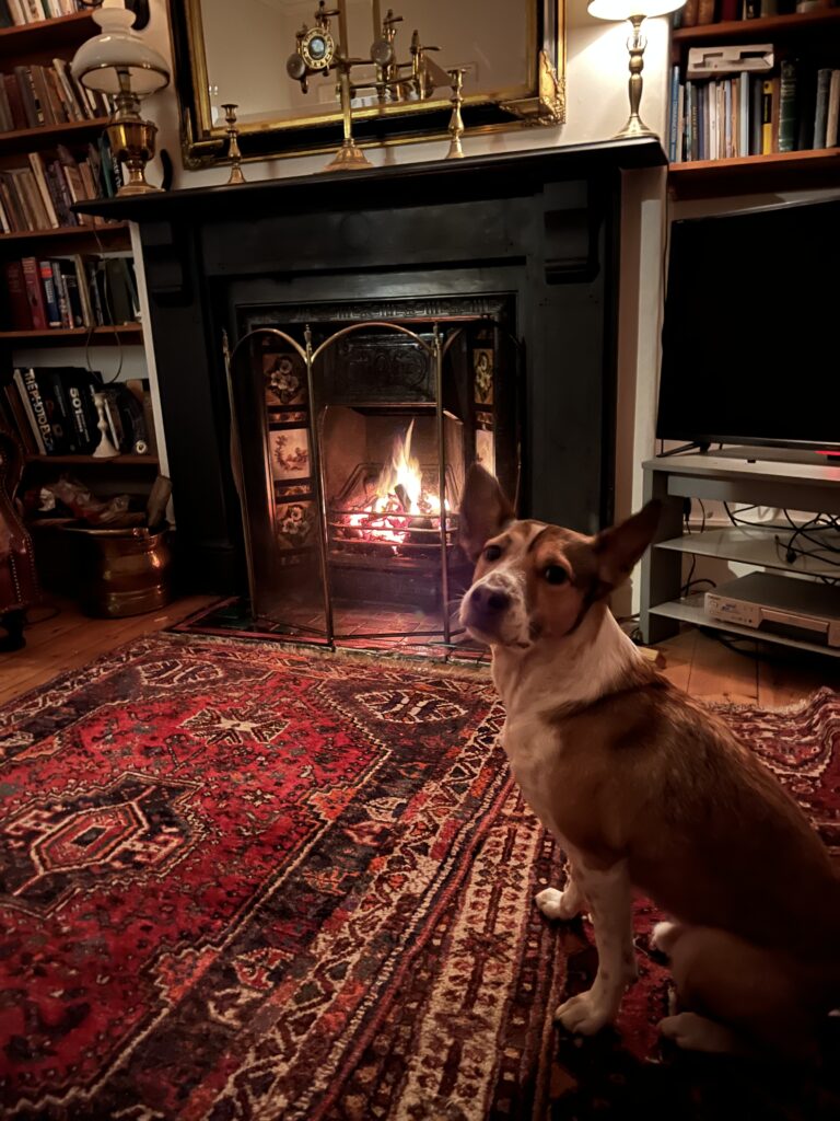Dog sitting by the fireplace at our Cardiff rental during a winter trip to South Wales