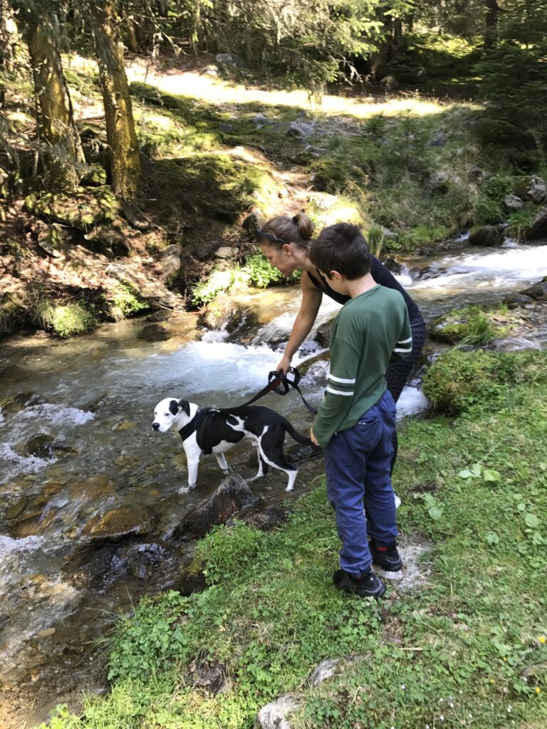 Family hiking with their dog beside a mountain stream in the Dolomites