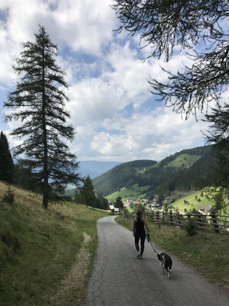 Walking with a dog on a mountain road in South Tyrol