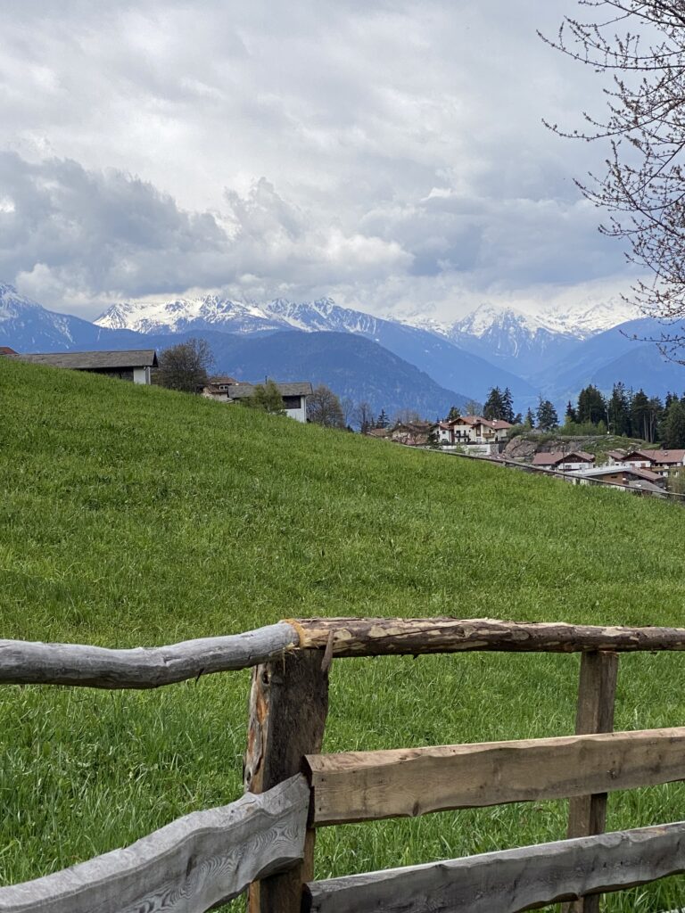 Green alpine meadows and mountain views near Avelengo in South Tyrol