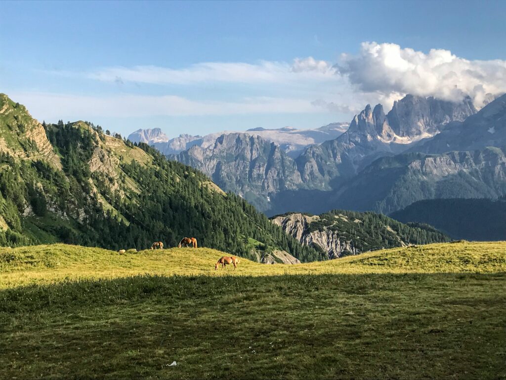Pale di San Martino mountain peaks above the Trentino landscape