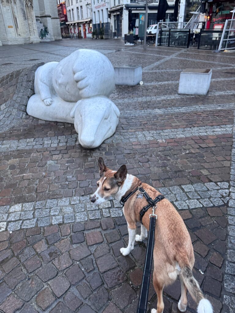 Dog beside the Nello and Patrasche sculpture outside Antwerp Cathedral
