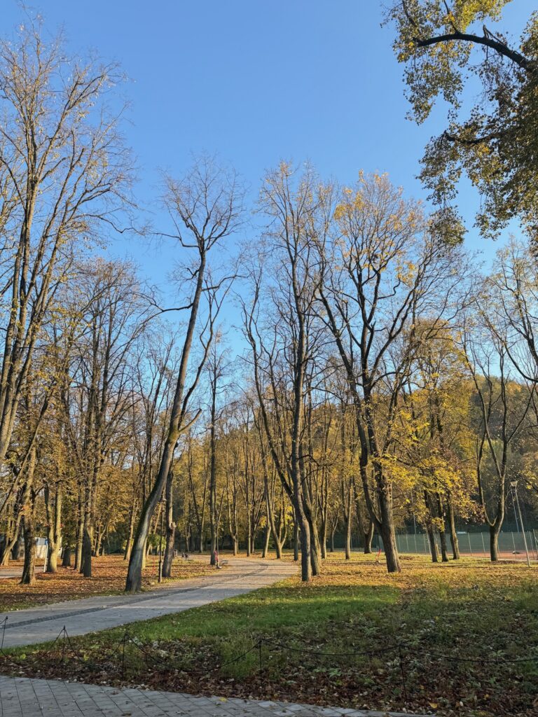 Walking path through Kalnai Park in Vilnius surrounded by trees with golden autumn leaves