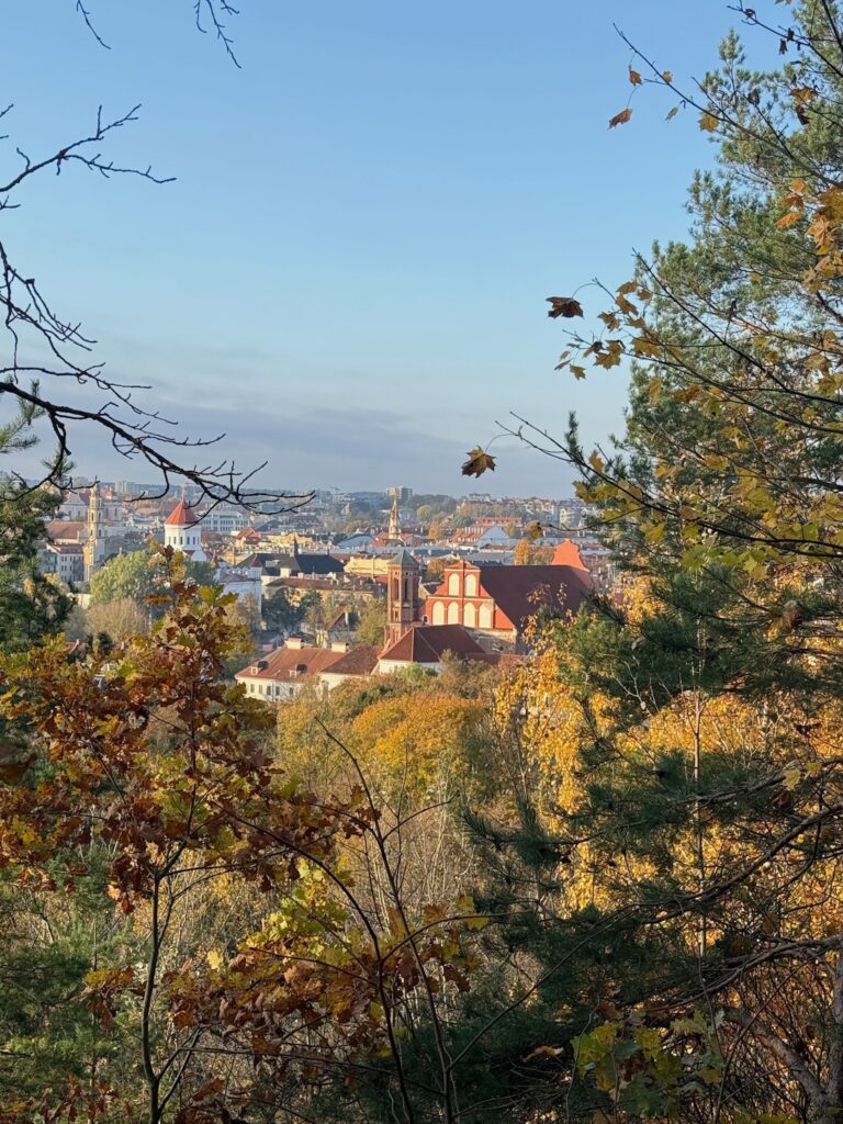 Vilnius Old Town rooftops and historic churches seen through colorful autumn trees from Kalnai Park